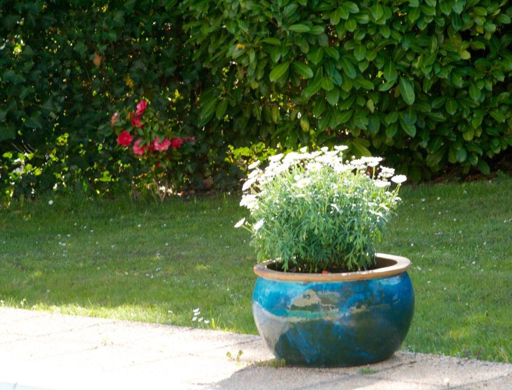 Les Hibiscus Bed & Breakfast Maisons-Laffitte Exterior foto